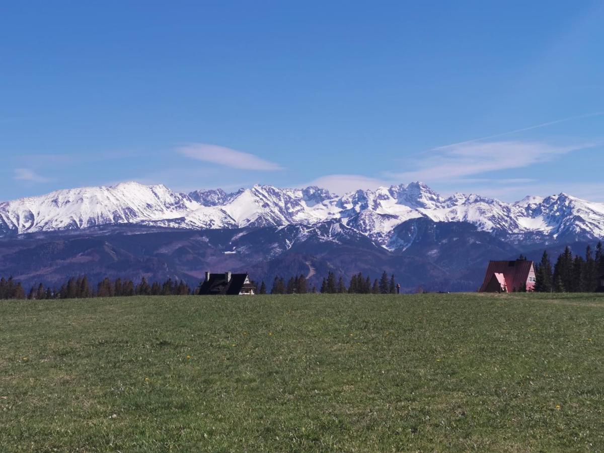 Dom Wczasowy Na Szczycie Zakopane Exterior foto