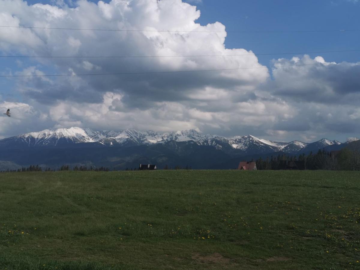 Dom Wczasowy Na Szczycie Zakopane Exterior foto